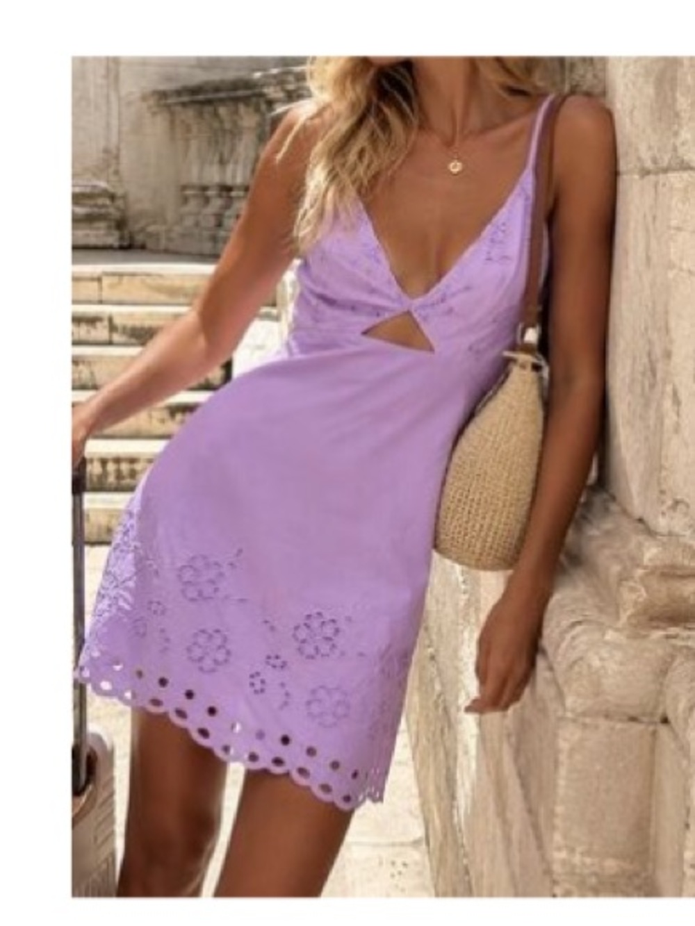 Zara o openwok embroidered dress